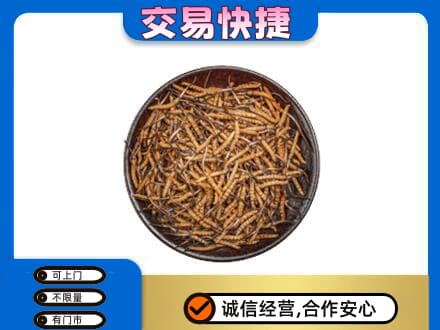 乌兰察布商都县礼品回收虫草.jpg